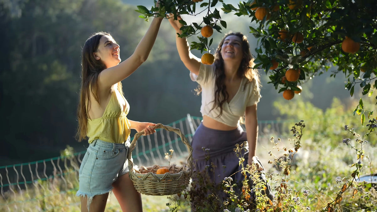 Vitamin C, Vitamin D and Zinc: What the Research Says About Immune Health